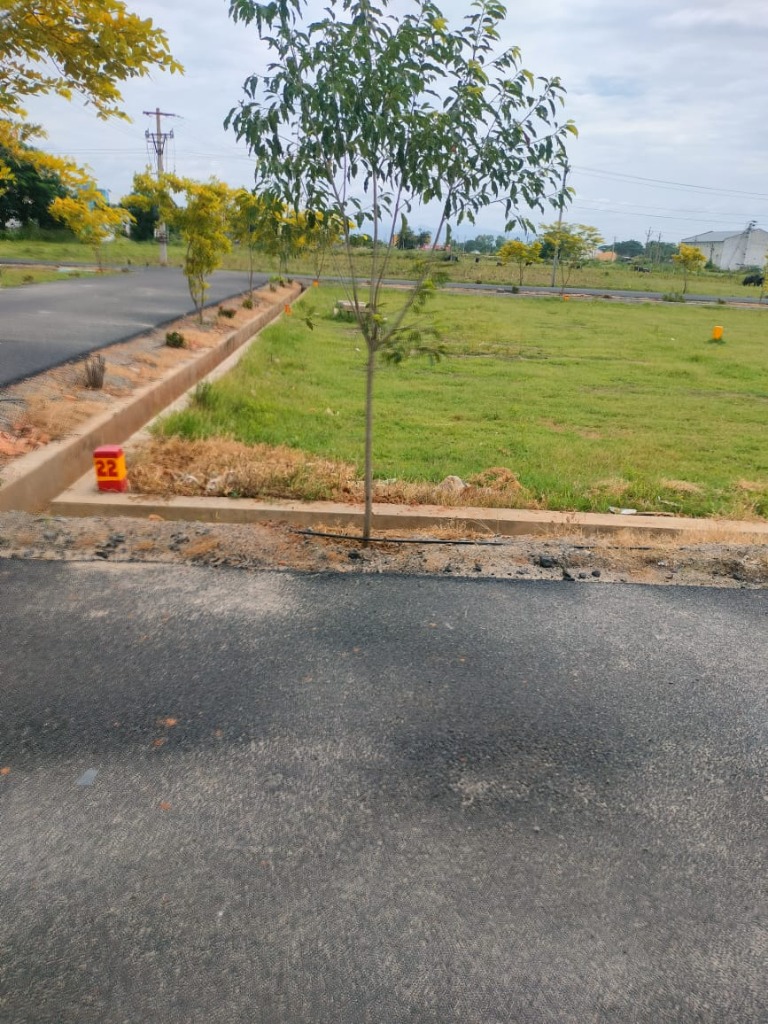 Development Progress